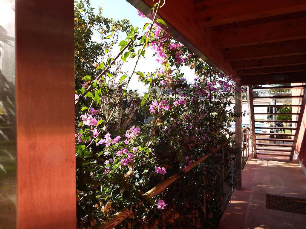 B&B Albaluna